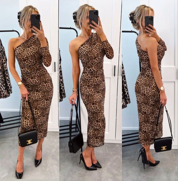 Leopard Leopard Print Dress