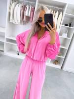 Фуксии Велюровый спортивный костюм из двух предметов