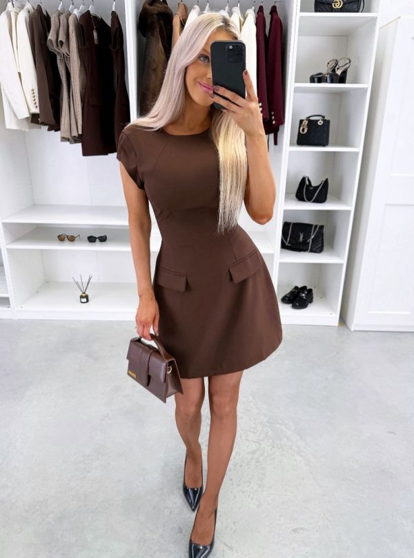 Brown Fitted Waist Flared Dress